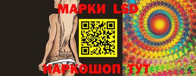 тгк Кингисепп