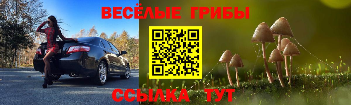 Псилоцибиновые грибы Magic Shrooms Лабинск